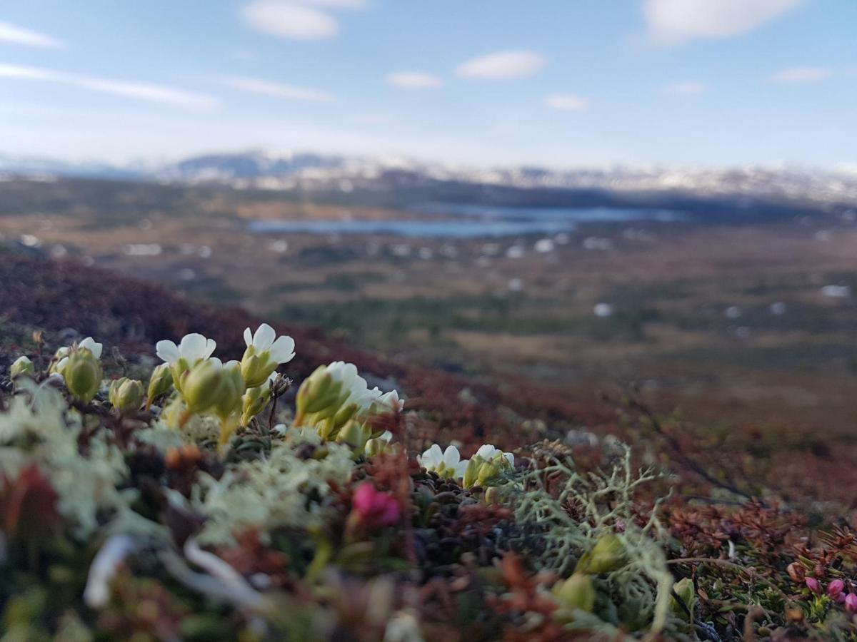 Hostel Renfjaellsgarden Edsasdalen Exteriér fotografie