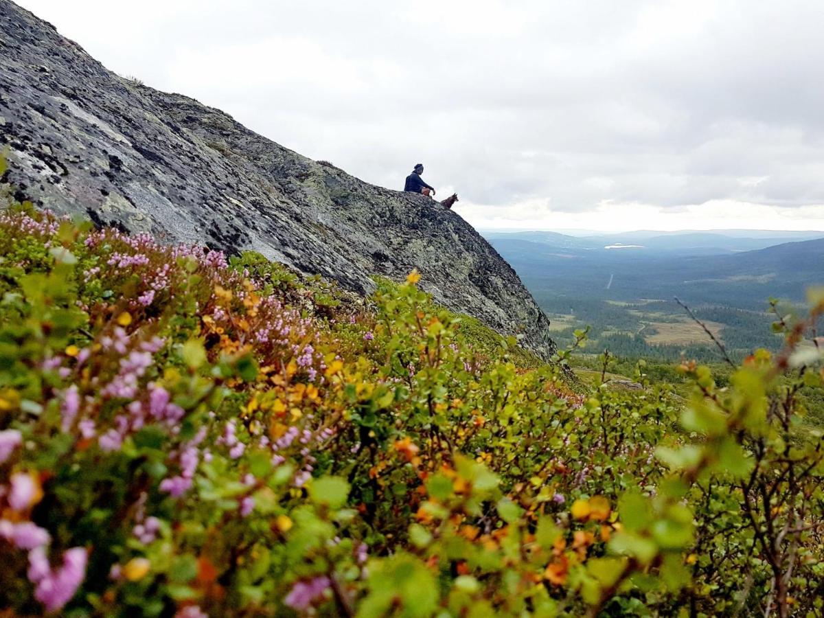 Hostel Renfjaellsgarden Edsasdalen Exteriér fotografie