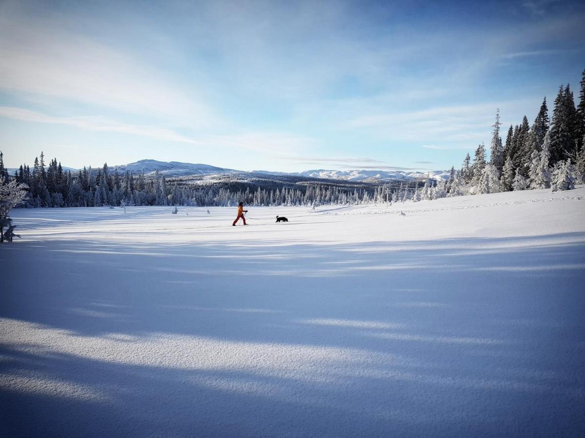 Hostel Renfjaellsgarden Edsasdalen Exteriér fotografie